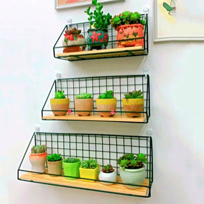 Etagere-murale-polyvalente-plante