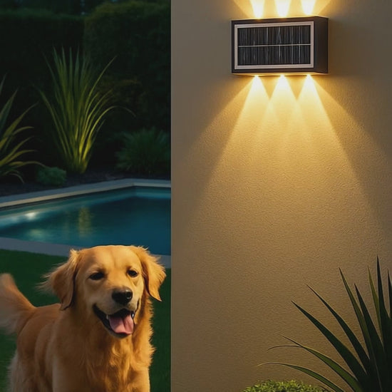 applique-murale-exterieur-solaire-etanche-chien