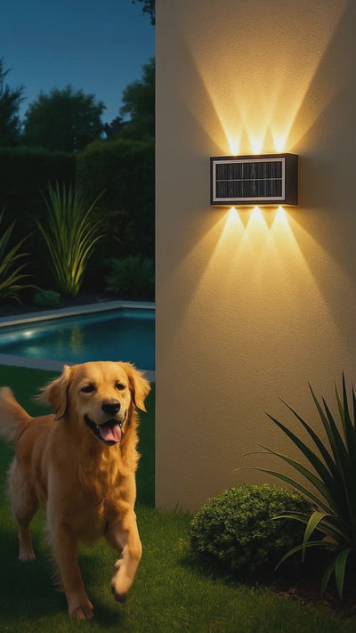 applique-murale-exterieur-solaire-etanche-chien